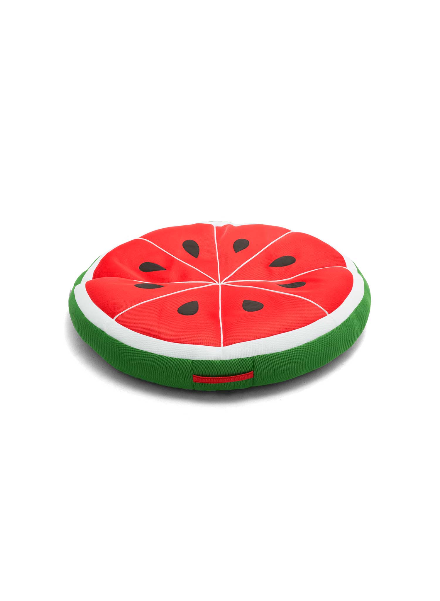 Fruit Slice Floats | Big Joe