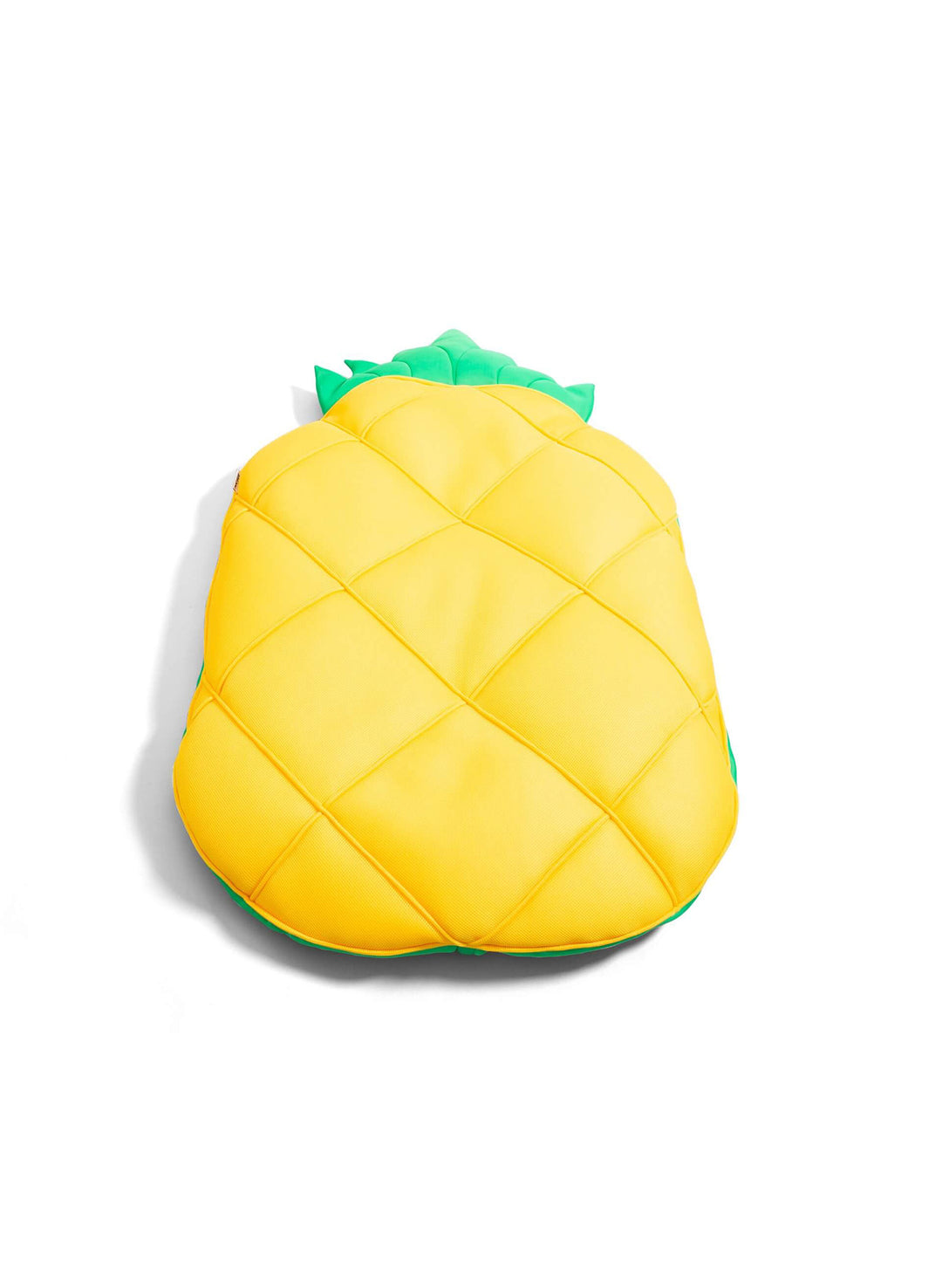 Large Pineapple Float | Big Joe