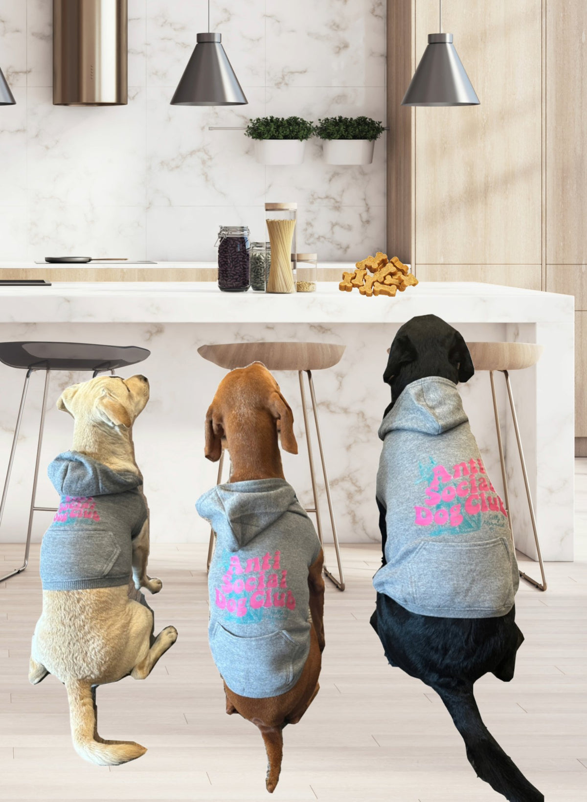 Anti-Social Dog Club Grey Matching Doggie Hoodie