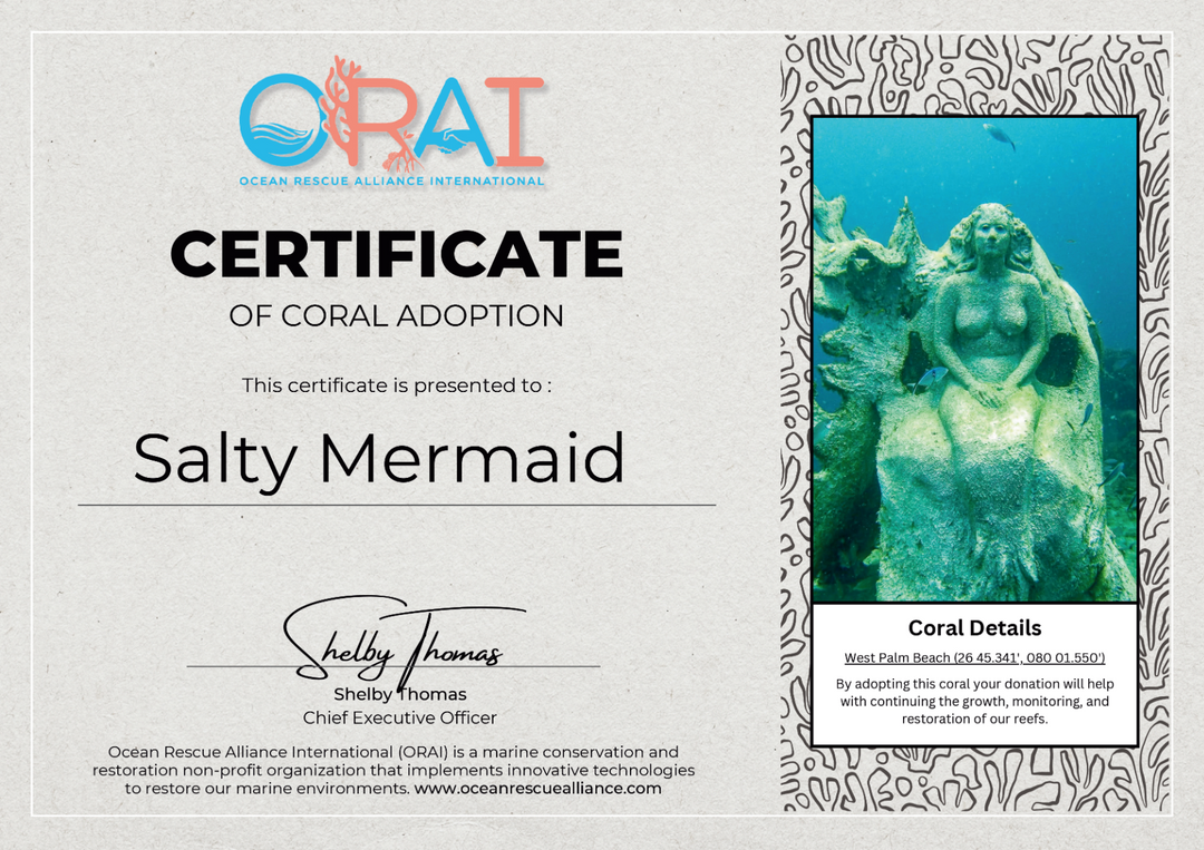 Officially Making Waves